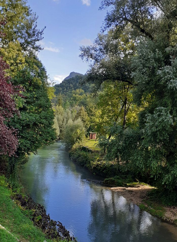 Associazione Nuova Acanto - Gennaio 2021